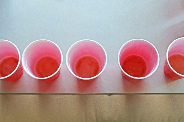 2-Light-Beer-Shootout