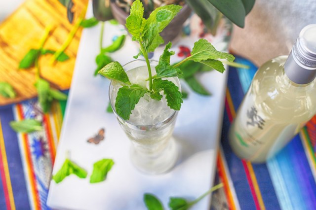 Dancingecko Mojito