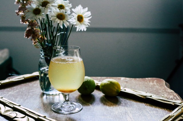 #229 Drink for the Dog Days