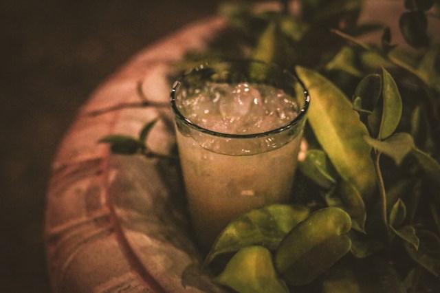 Duma Key Lime - Last Look